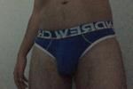 XxHungStallionxX