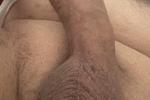 Cock