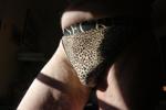 birdmanmchale — Even More Panties