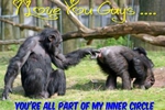 Funny