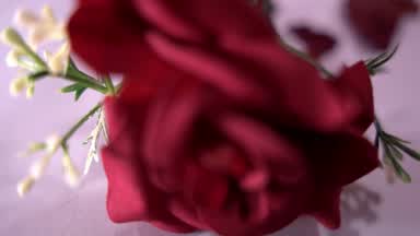 🥀 Between caresses and sighs, I want to get lost