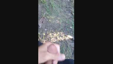 in the woods