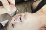 Recent Bukkake Facial Obtained