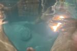 pool hardon with mary