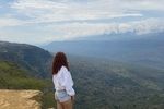 Contemplate