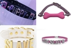 A collar for a puppy!
