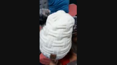 honey sexo oral