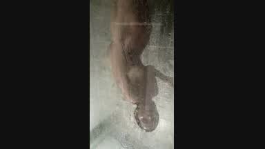 My tits bouncing in the shower