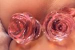 Double plugged with roses