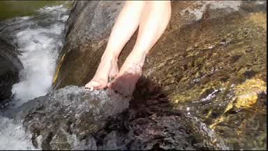feet