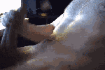 cummin