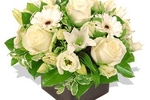 send me a nice box of flowers...