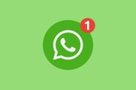 WhatsApp - 1 mes