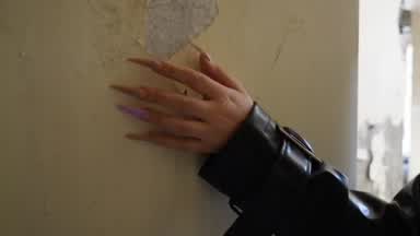 cat's nails