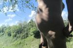 outdoor