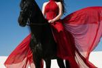 alodia babe โ STALLION