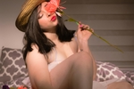 sweet rose
