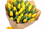i love yello tulips