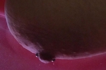 A Sneak Peek