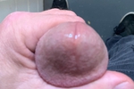 cock