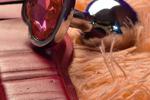 there are pleasures that cannot be explained