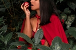 Little Red Riding Hood 👗🐺🤶
