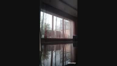 WEBKOROLEVA