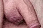 My Perfect Cock