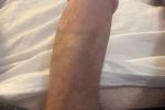 Cock