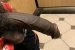 elevator debauchery