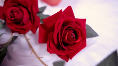 🌹💋 My eyes say “be mine.”