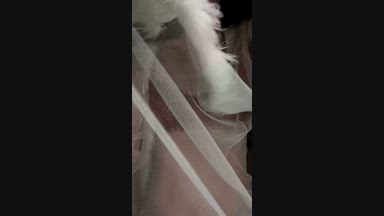 Sheer Motion