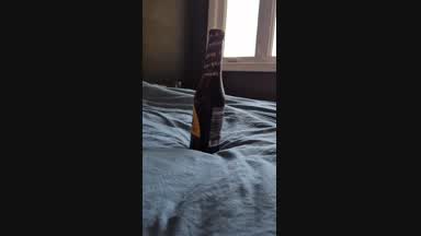 Sinful vs. Beer Bottle
