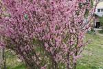 hi spring!