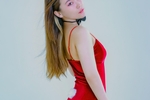 Red rabbit