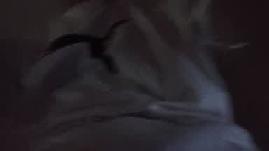 Morning Cum VOLCANO