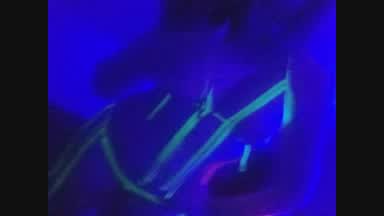 Neon nite