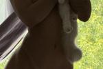 2 kitties ^_^