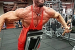 Veins