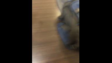 badbirdie85 — Desk Cum