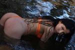 Citrus Seduction