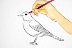 Draw you a picture