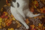 My sweet pussy