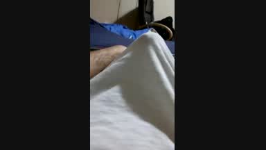 morning wood