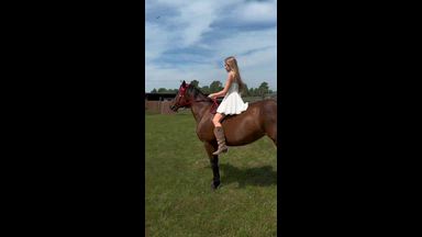 Saddled a horse