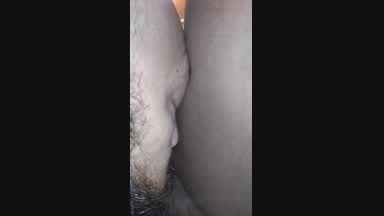 eating juicy pussy