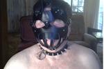 collar and leash