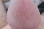 Cock