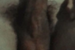 Dick. Cock. Pija