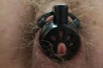 Chastity